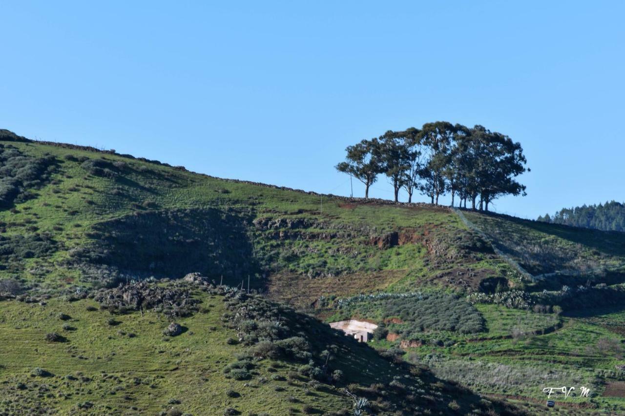 Vila Casa Rural Zalemy San Pedro  Exteriér fotografie